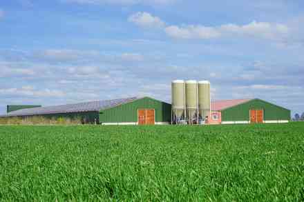 © Countrypixel - stock.adobe.com Ställe und Silos