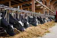 Tierhaltungskooperationen