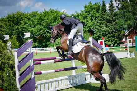 © countrypixel - stock.adobe.com Springreiten