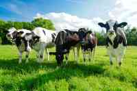 Steuerfreie Betriebsübertragung