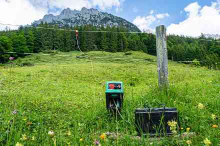 © Countrypixel - stock.adobe.com Weide