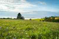 Landwirtschaftsflächen einer GbR