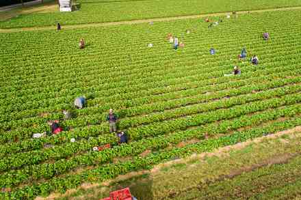 © Countrypixel - stock.adobe.com Feldarbeiter