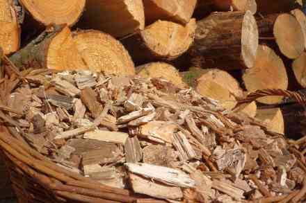 © goldbany - stock.adobe.com Holzhackschnitzel