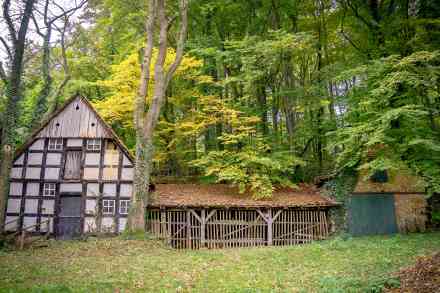 © Countrypixel - stock.adobe.com Alter Bauernhof