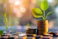 Vermögensverwaltergebühren 2024